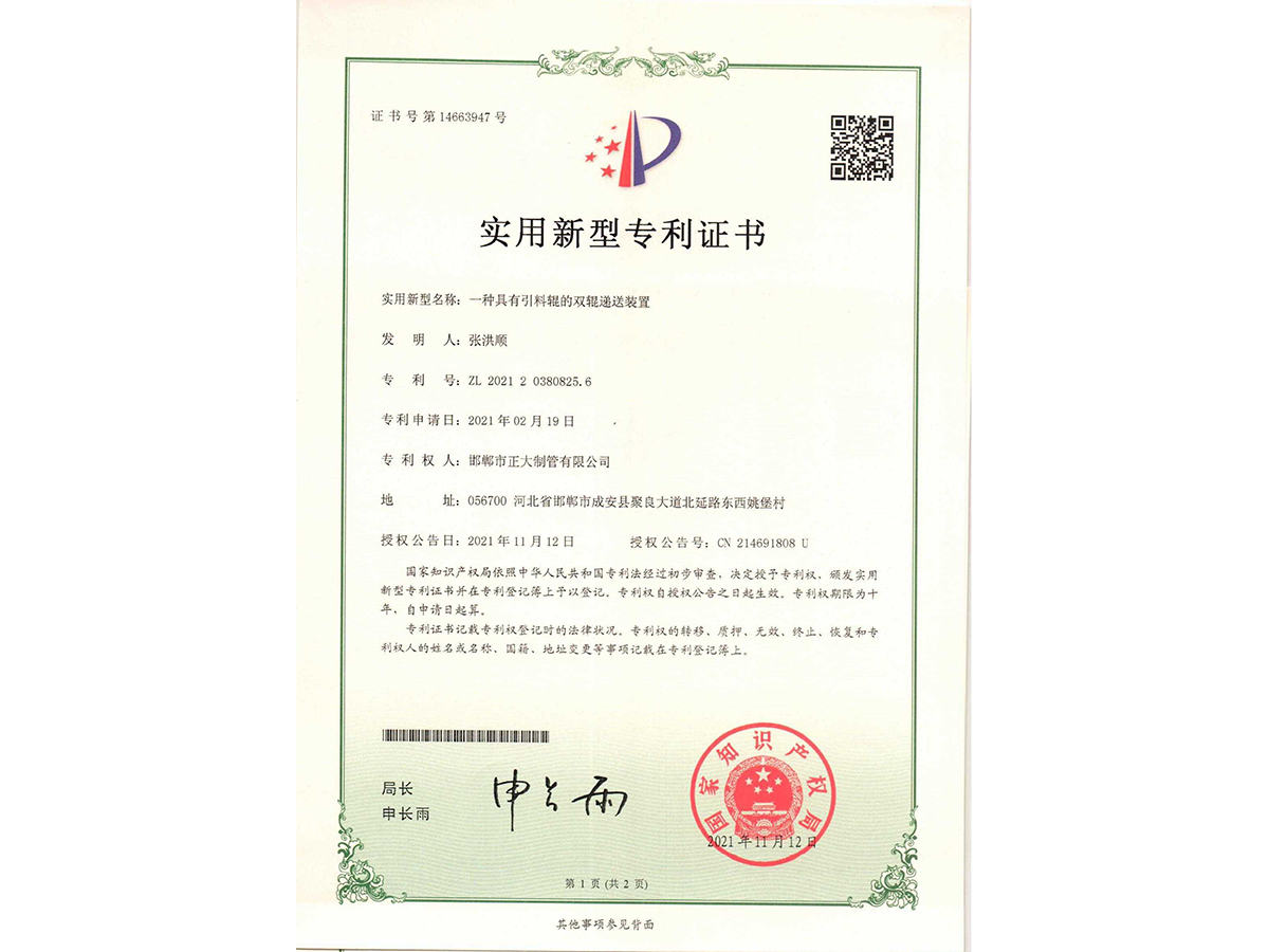 一种具有引料辊的双辊递送装置